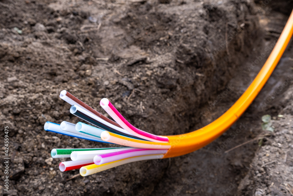 1000_F_424559475_HEMiPxo8FuXA76y1agEgt0TAZLFL2umA 1000_F_424559475_HEMiPxo8FuXA76y1agEgt0TAZLFL2umA